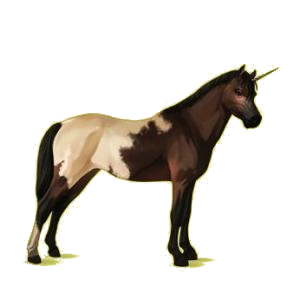Poney licorne Français de Selle Bai Brûlé