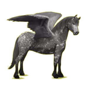 Poney pégase Connemara Noir