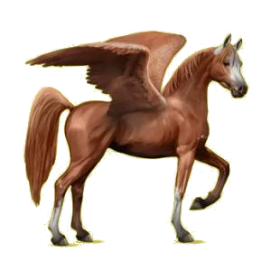 X
