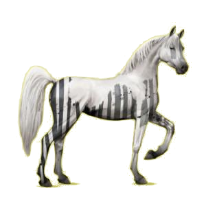 6765-normal.png