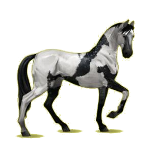 7026-normal.png