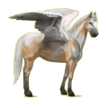 Pégase de selle Paint Horse Pie Tobiano Palomino