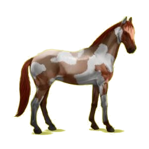 X