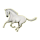 Cheval de selle Arabe Gris Clair