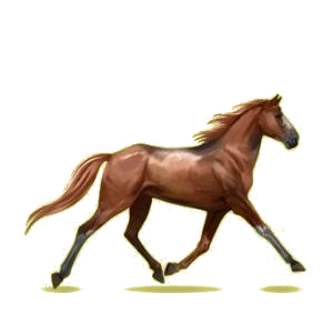 Cheval de selle Trotteur Orlov Gris Pommelé