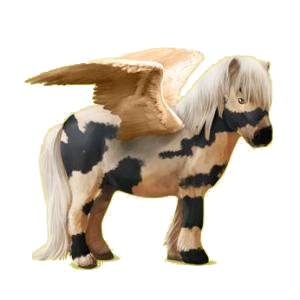 X