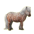 Poney Shetland Alezan
