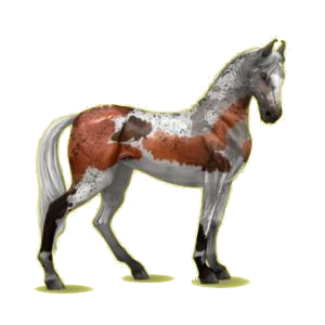 X