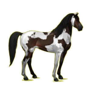 Pégase de selle Mustang Rouan