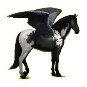 Pégase de selle Lipizzan Gris Clair