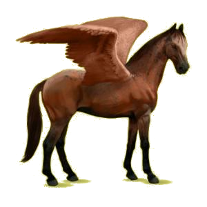 Pégase de selle Oldenbourg Bai Cerise