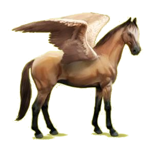 Pégase de selle Oldenbourg Bai Brûlé