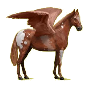 Pégase de selle Hanovrien Bai