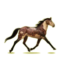 Cheval de selle Trotteur Orlov Bai Cerise