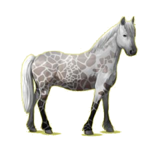 Poney Pottok Alezan