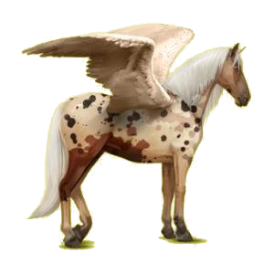 Pégase de selle Lipizzan Bai Brûlé