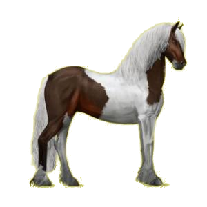 Cheval de selle Frison Noir
