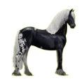Cheval de selle Frison Noir