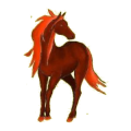 Cheval de selle Anglo-Arabe Gris Souris