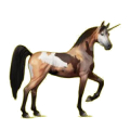 Licorne de selle Arabe Bai Cerise