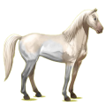 Cheval de selle Cremello