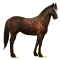 Cheval de selle Quarter Horse Alezan