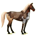 Cheval de selle Mustang Gris Clair