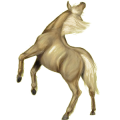 Poney Welsh Rouan