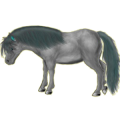 Poney Welsh Gris Souris