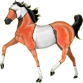 Cheval de selle Quarter Horse Bai Cerise