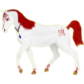 Cheval de selle Quarter Horse Bai Brûlé