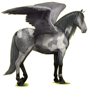Pégase de selle Lipizzan Bai Brûlé