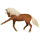 Cheval de selle Quarter Horse Aubère