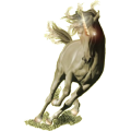 Licorne de selle Criollo Argentin Alezan Brûlé