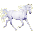 Cheval de selle Arabe d'Ouranos Gris Clair