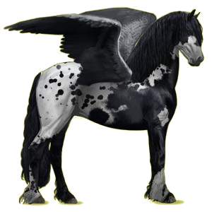 Pégase de selle Frison Noir