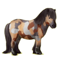 Poney Bai