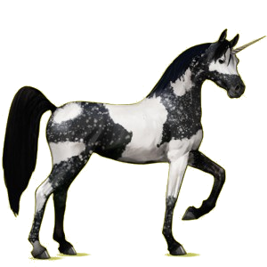 Licorne de selle Arabe Alezan Brûlé