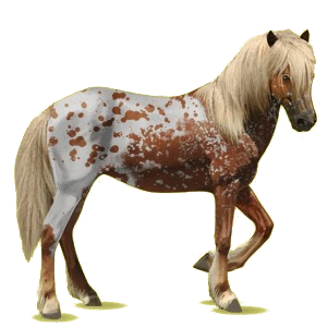 Pégase de selle Brumby Gris Clair