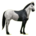 Pégase de selle Quarter Horse Palomino