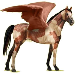 Pégase de selle Pur-Sang Anglais Bai Cerise