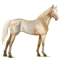 Cheval de selle Palomino
