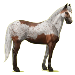 Cheval de selle Palomino Cremello