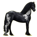 Cheval de selle Frison Noir