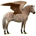 Poney pégase Fjord Brunblakk