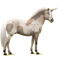 Poney licorne Fjord Brunblakk