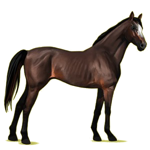 Cheval de selle Pur-Sang Anglais Alezan Brûlé