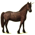Poney licorne Haflinger Palomino