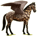 Pégase de selle Anglo-Arabe Bai Brûlé