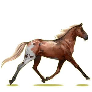 Cheval de selle Trotteur Orlov Gris Pommelé